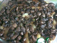 ��������� ��� ����� �����������