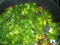 ������������ ������ ���������� ����������� �����������