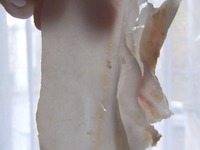 ������ ���� � ���������� ������� �����������