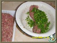 ������ � ������ ������ "�������������� �������" �����������