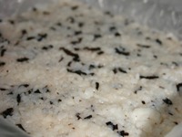 ����-���� �����������