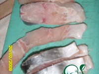 �������� � �������� �����������