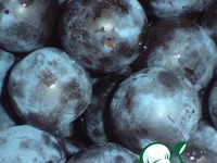 �������� �� ���� �� ������� �����������