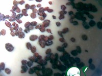 ���� "������" �����������