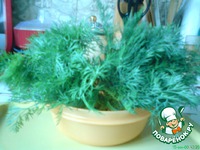 ������������ ����� �����������