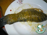 ���� � ������ � ������� � �������� �����������