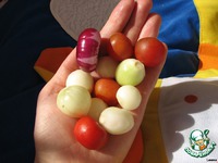 ����� "����� ��������" �����������