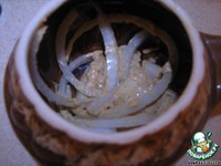 ���� ��-���������� �����������