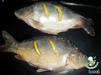 ������ ���� ���������� �����������