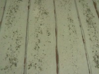 ��������� ���� �� ... �������� ���� �����������