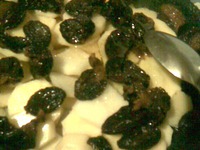 ����� ������������ �����������