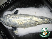 ���� �� ���� �����������