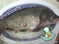 ���� ���������� �����������