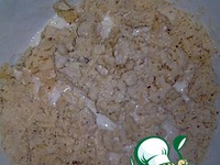 �����-�������� ���� �����������