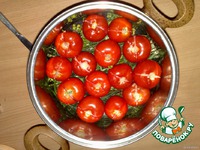 �������� ������� "�������" �����������