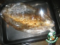 ���� "�������� ��������" �����������