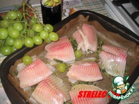 ������� � ����������� ����� �����������