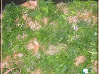 ������� ���� � ������� �����������