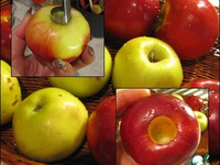 ������������� �������� ������ �����������