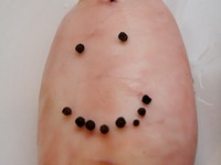 ��������, ������������� �������, � ������� ������ �����������