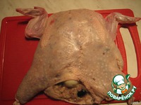 ������ "�����������" �����������