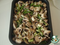 ���������� � ��������� �������� �����������