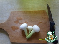 ������������ �������� �����������