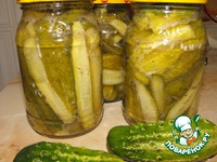 ������ "����" �����������