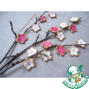 ������� "�������� ���"