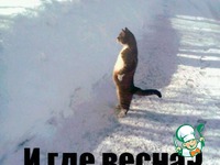 ������� ������� �����������