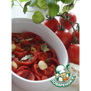 �����e���� ��������