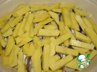 ������������ ��������� � ��������� (������) �����������