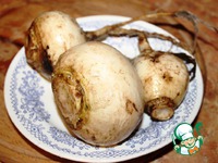 ������� ��� � ����� � ������ �����������