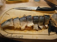 ����, ������� � �������� �����������