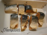 ����, ������� � �������� �����������