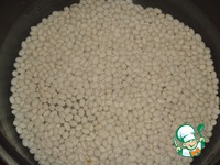 ������� ��������-������� ��� � �������� �����������