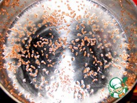 ����� � �������� � ����� �����������