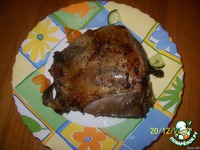 �������� � �����-�������� �������� �����������