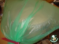 ������ ������ (-�����) �����������