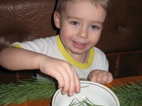 ������� "�������-���������" �����������