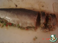 ������������� ������� �����������