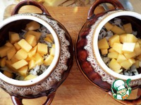 ������� ��������-������� ��� � �������� �����������