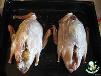 ����� ����, ������������� �������� �����������