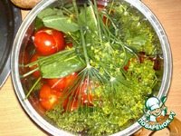 �������� ������� "�������" �����������