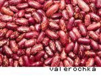 ����� "���������" �����������