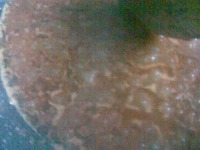 �������� �����������