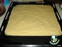   "Buttermilchschnitten" 