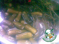 ����������� ������ �����������