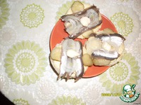 ���������� ���������� �����������