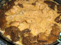 ������� � ��������-������ ����� � ����������� �����������